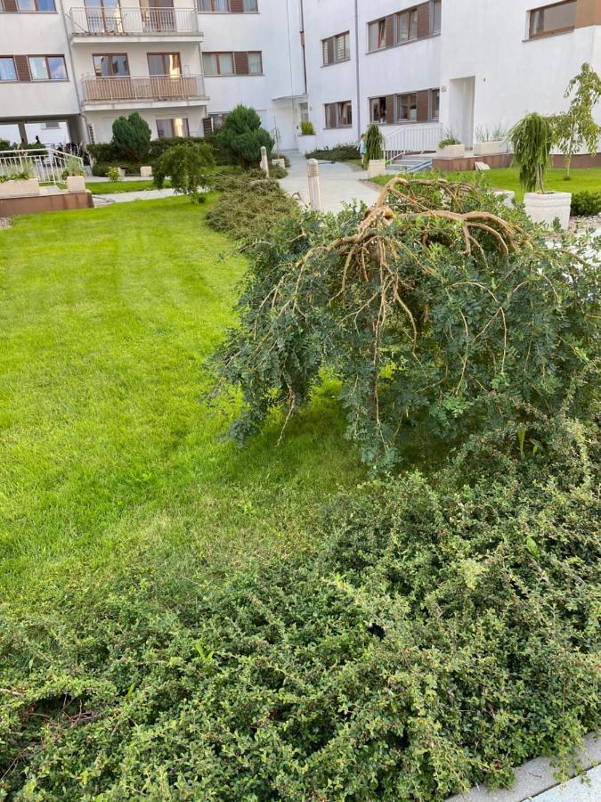 Apartament Forest Свиноуйсьце Экстерьер фото